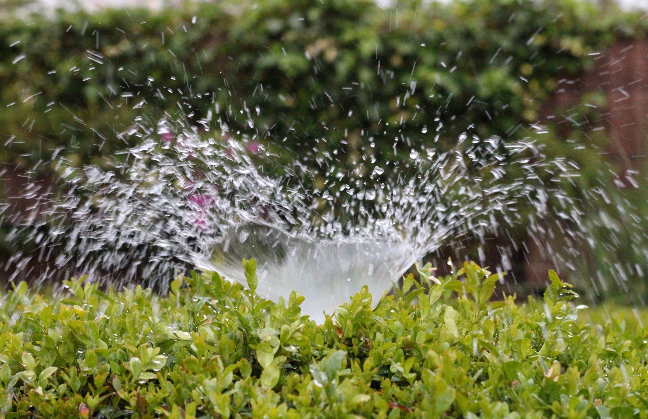 Maximizing Water Efficiency