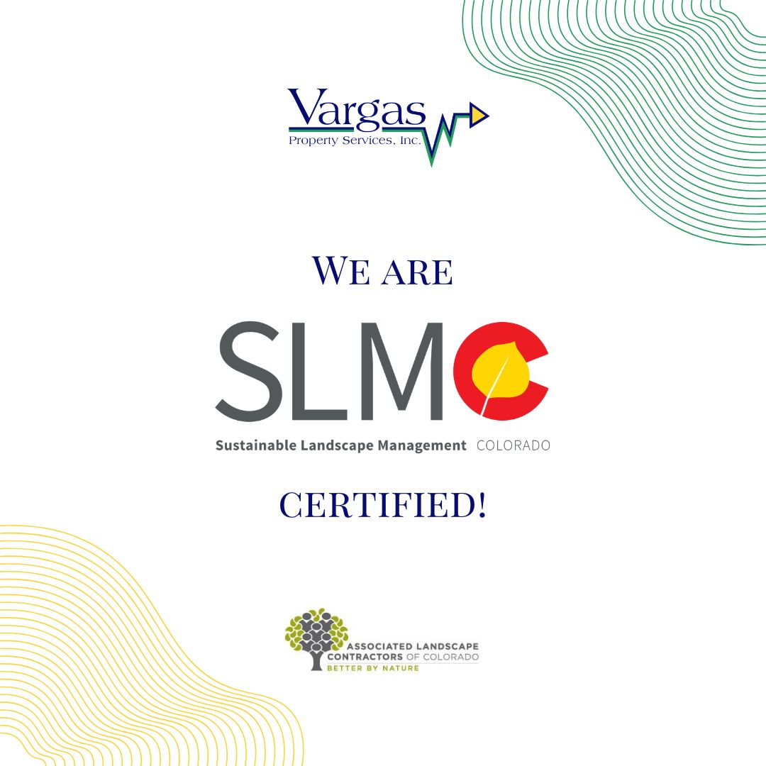 We are SLM Certified!