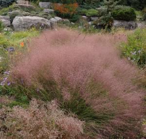 UNDAUNTED® Ruby Muhly