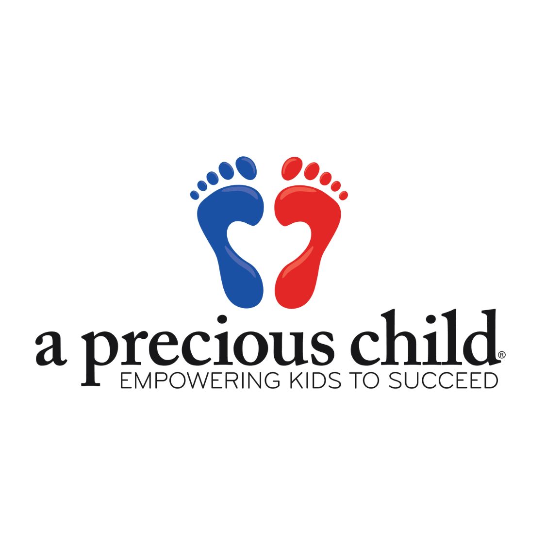 Giving Back to Our Community: Partnering with A Precious Child