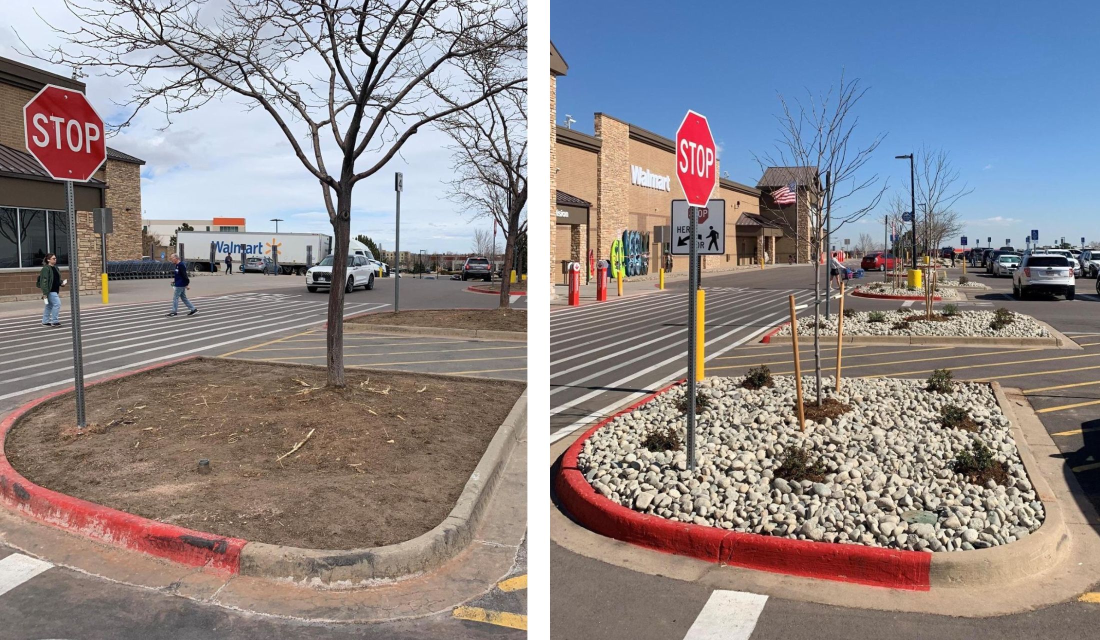 Commercial Landscape Renovation
