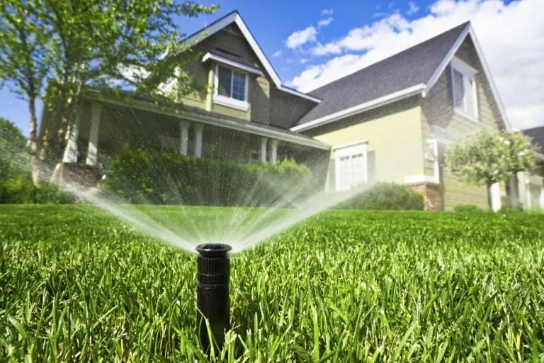 Lawn Maintenance Tips for Keeping your Yard Healthy During this Dry Summer