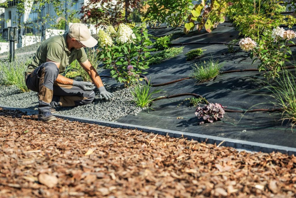 man providing commercial landscape design