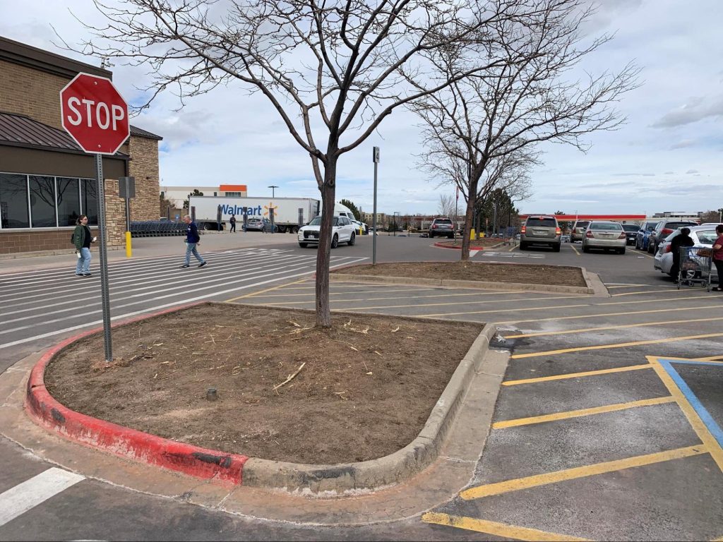 commercial landscape renovation in broomfield before image