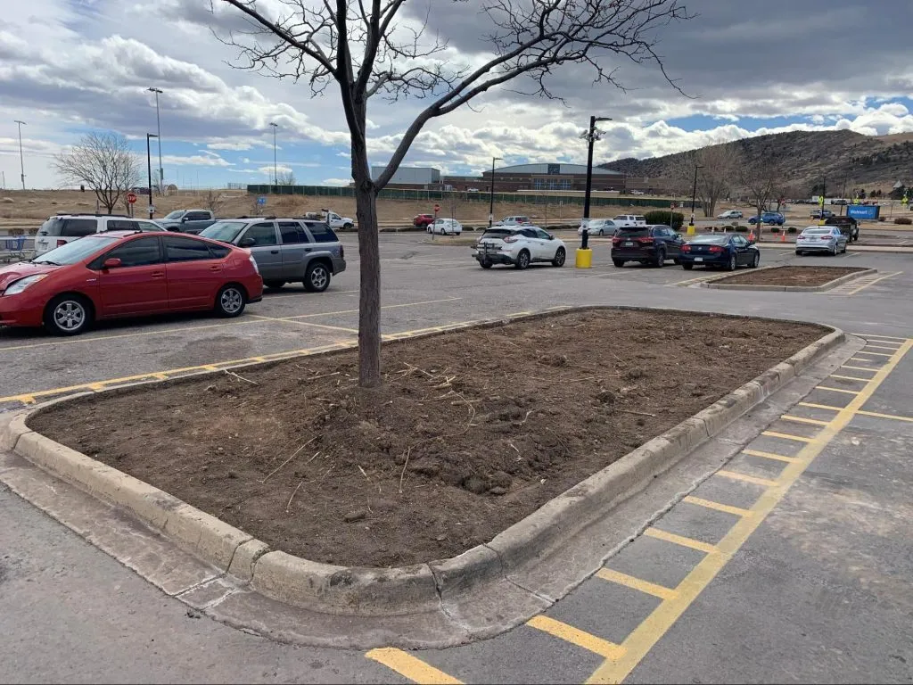 parking lot median before image