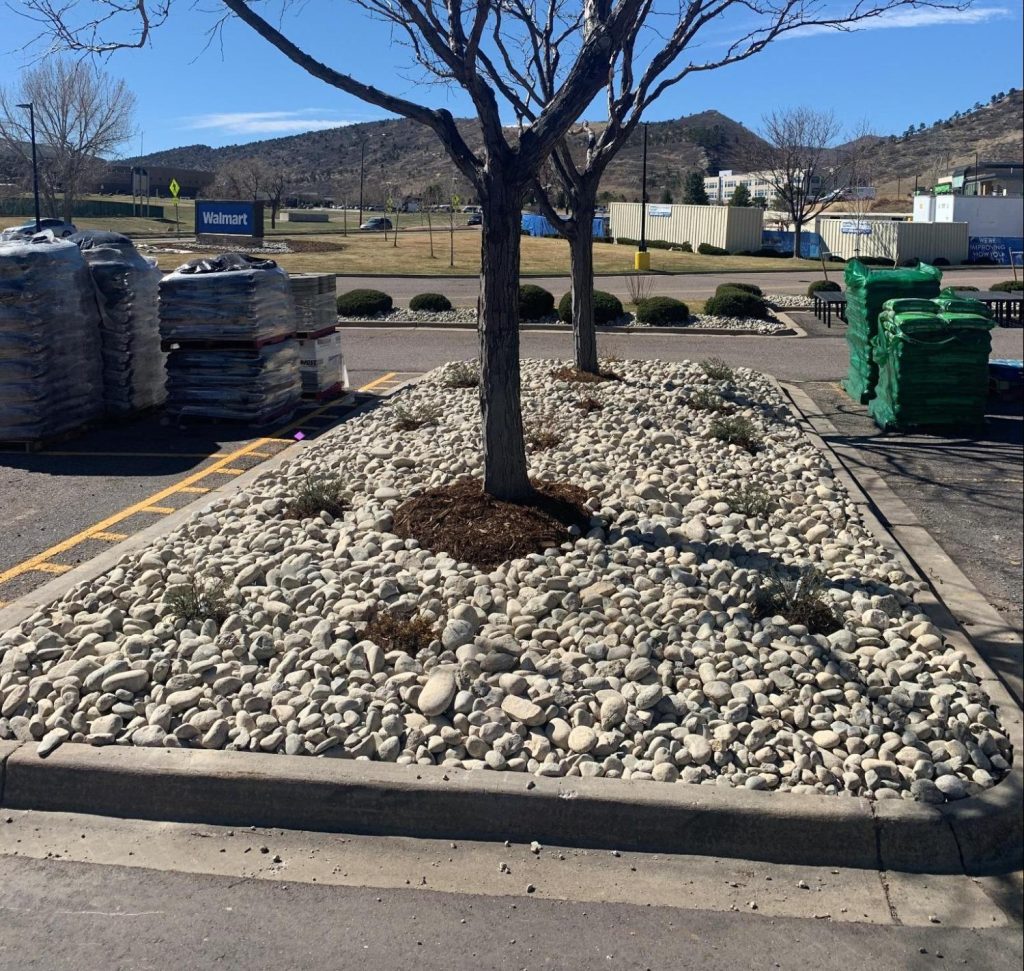 commercial landscape renovation in broomfield results