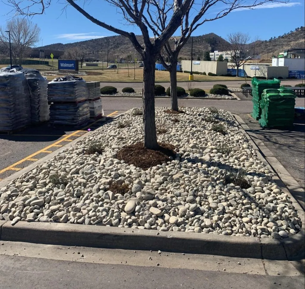 commercial landscape renovation in broomfield results